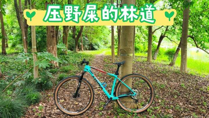 Đạp phải phân và BYT, lại còn gặp cả Ye Zhan! Trong bán kính 10 km xung quanh chẳng có lấy một ngọn 