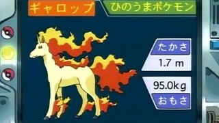 オーキド博士のポケモン講座(ギャロップ)