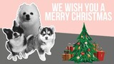 We Wish You a Merry Christmas but it's Doggos and Gabe