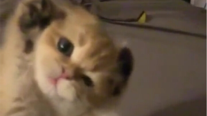 Who can handle this?