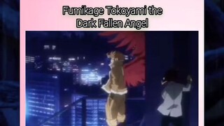 Tokoyami the dark fallen angel