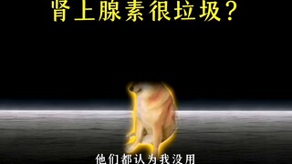 你可能不认识我，但你一定刷到过我的视频！【2024年度总结】