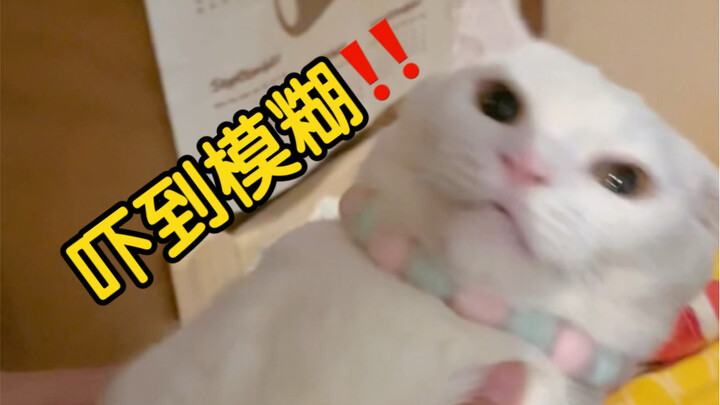 Ternyata... manusia-lah hewan yang kotor itu