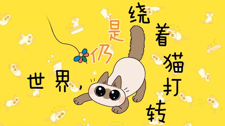 【暹罗猫小豆泥】小豆泥的新玩具动画第13弹（或许你遇到过因玩玩具而失去耐心的猫猫吗）
