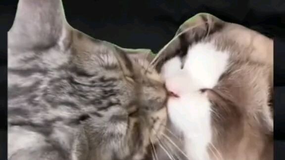 More kisses please