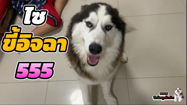 “ตัวร้ายในละคร” ขอให้ได้บ่นก่อนนอน | มะขาม ปึกน้อย ลูกข้าวจ้าว EP. 329