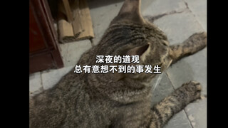 Late at night in the Taoist temple, unexpected things always happen.