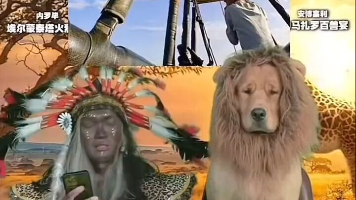 وهناك من يجعل الكلب الذهبي يتنكر كأسد هههه