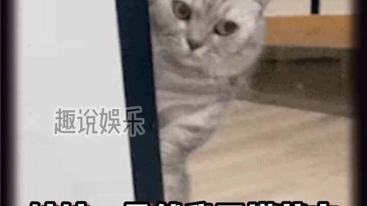 Little Sister: “Even though I don’t understand English, do I still not understand you?”