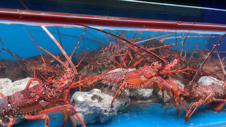 กุ้งล็อบสเตอร์ที่โพสต์เมื่อวานนี้น่ะนะ กลับลืมไปซะเฉยๆ ว่าชื่อภาษาจีนเรียกว่าอะไร
