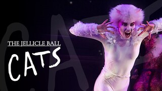 Cats The Musical — Jellicle Ball Live Performance | Press Launch Paris 2015 [HD]