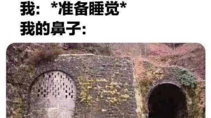 Chiếc mũi của tôi khi ngủ