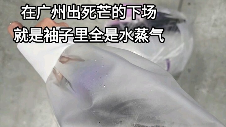 Arknights, em hại chết anh rồi!