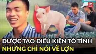 Chàng trai được truyền hình Nhật tạo điều kiện tỏ tình với crush nhưng cả buổi chỉ nói về lợn