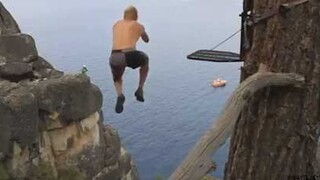 满级人类行为，人类进化又没带上我！