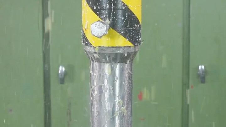 [Chubby Tiger Stress Relief Video] Check out my latest creation—don't miss it!