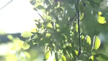 #SharingIsCaring #449 #UploadRandomVidsJustForDiversion #ChineseMiniDrama #JustWatch 😉