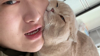 To be frank, I hate cats the most.