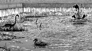 "Junji Ito's Pond" Animated Horror Manga Story Dub and Narration