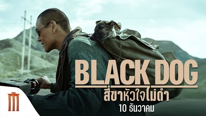 1 หมาจร 1 คนนอกคอก เรื่องราวที่ทำให้ใครหลายคนน้ำตาซึม 'Black Dog สี่ขาหัวใจไม่ดำ'