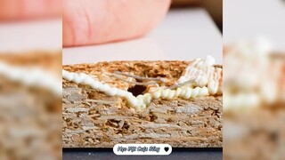 Sửa ngay đồ trong nhà với món đồ này