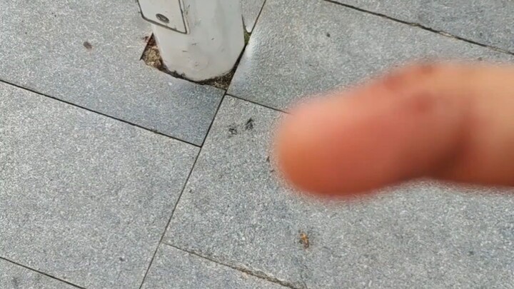 เมื่อขี่จักรยานที่บ้านคุณสามารถดูวิธีการที่ฉันกิน