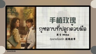 (แปลไทย/พินอิน) 手植玫瑰 กุหลาบที่ปลูกด้วยมือ - 米卡 Mika 《กุหลายร้อยรัก 玫瑰故事》OST.