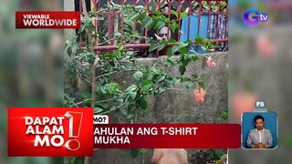 Aso, tinahulan ang t-shirt na may mukha ng tao! | Dapat Alam Mo!