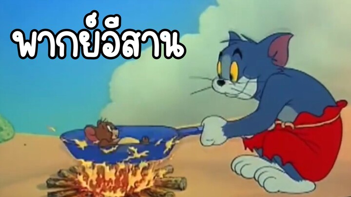 แมวกินหนู ทอมแอนด์เจอร์รี่ พากย์อีสาน