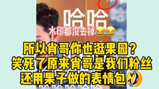 [Bo Jun Yi Xiao] พี่เซียวก็ไปเยี่ยมชมสวนผลไม้ด้วยเหรอ? ตลกมากที่พี่เซียวกลายเป็นแฟนของเรา! ใช้อีโมติ
