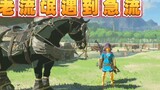 [Zelda] ความแตกต่าง 100 ล้านแต้มระหว่างมือใหม่ 6 ชั่วโมงกับคนโกงอายุ 600 ชั่วโมง~ (ระยะที่ 3)