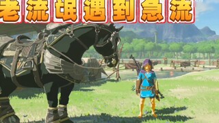 [Zelda] Perbedaan 100 juta poin antara pemula 6 jam dan bajingan berusia 600 jam~ (Tahap 3)