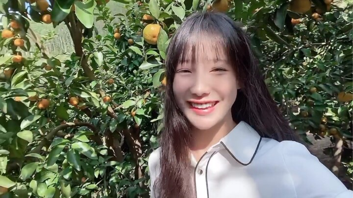 Cần khiêng gạo, bình gas không?