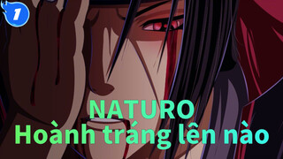 NATURO|[Hoành tráng Tổng hợp] Người anh em thân mến, cùng Hoành tráng lên nào！！！！_1
