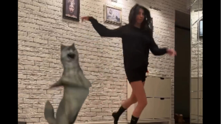 Thanks to Wolf for teaching me the wonderful experience of dancing