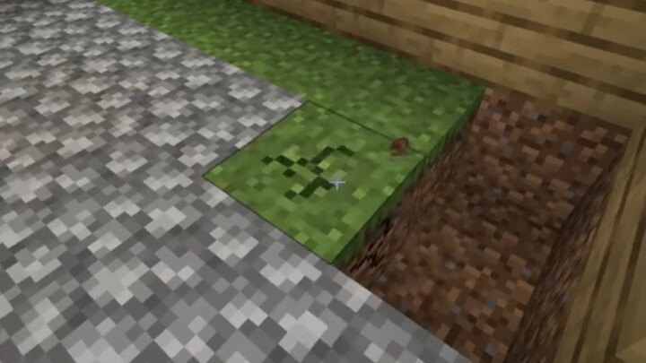 Saat kamu menemukan kecoa di rumah