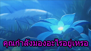 คุณกำลังมองอะไรอยู่เหรอ