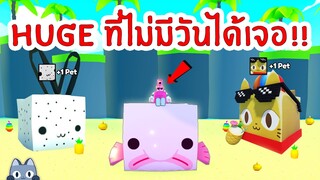 รวม HUGE ที่คุณอาจไม่มีวันได้เจอ !! | Roblox Pet Simulator X 🐾