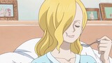[One Piece 194] The story of Sanji's mother, who gave her life in exchange for Sanji's soul