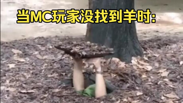 สิ่งที่ผู้เล่นมายคราฟทุกคนเคยทำ