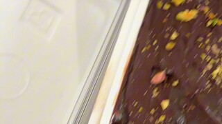 A Day at the Ice Cream Shop