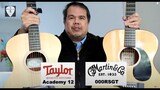 Taylor vs Martin Acoustic Guitars - Sound Comparison - Blind Test