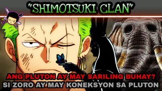 Si Zoro ay may Koneksyon sa Pluton | Ang Pluton at may Sariling buhay? One piece theory