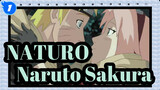 NATURO|[MAD]Naruto &Sakura_1