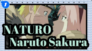 NATURO|[MAD]Naruto &Sakura_1