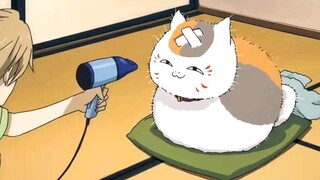Who doesn't want a cat teacher who keeps frying?