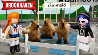 สร้างฟาร์มคาปิบารา (กะปิปลาร้า) ใน Brookhaven | Roblox 🏡 Capybara Farm Brookhaven