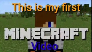 Im INVINCIBLE in minecraft
