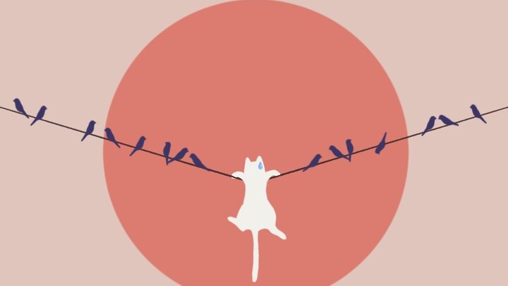 Ternyata kucing juga bisa canggung!