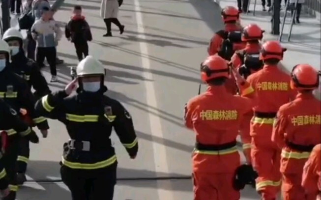 When Fire and Rescue Team Members Meet Forest Firefighters
